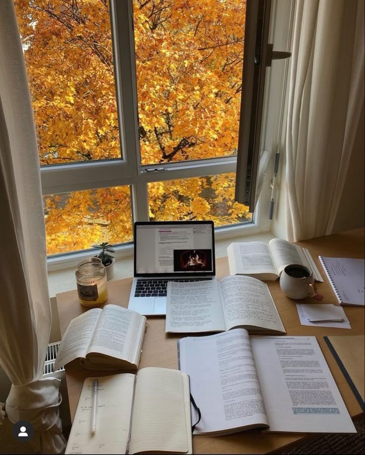 Ayan's study space with autumn foliage